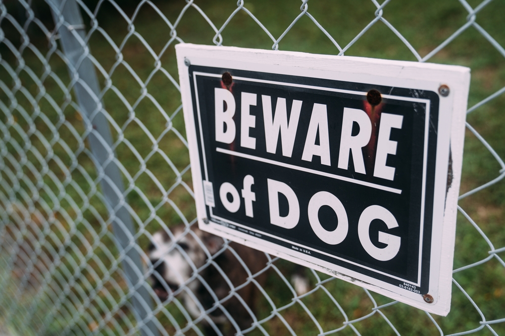 Beware of dog sign on chain link fence with dog in background